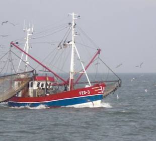 Ausflugsfahrt mit der WEGA 2