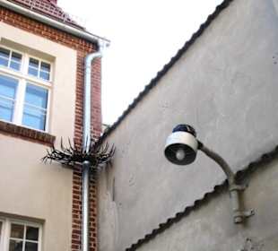 Scheinwerferterror und Klettersperren