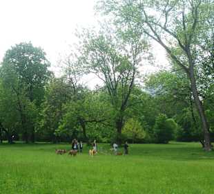 Englischer Garten
