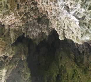 Горный нацпарк Истоки реки Уредерра, Наварра