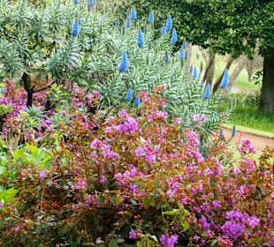 Palheiro Gardens
