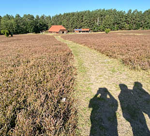 Wandern Amelinghausen 