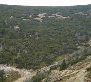 Berg Schneekoppe/Śnieżka