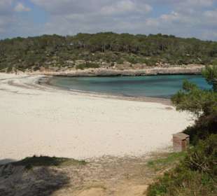 Strand Playa S'Amarador (1)