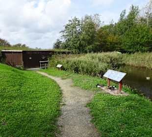 Im Feuchtbiotop des Natureum Niederelbe