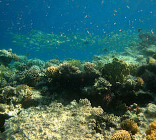 Hotel Stella Makadi Beach Resort