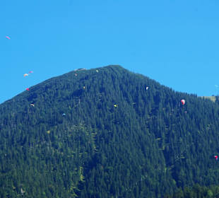 Die Gleitschirmflieger in der Region