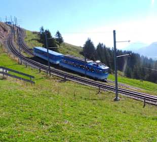 Bahn Rigi Arth - Goldau