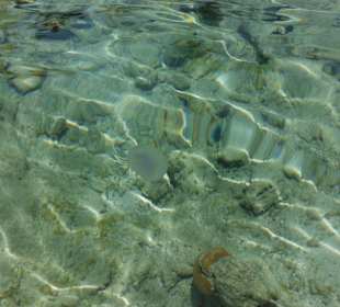 Hausriff, rechts von der Marina