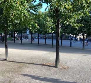 Brühlsche Terrasse