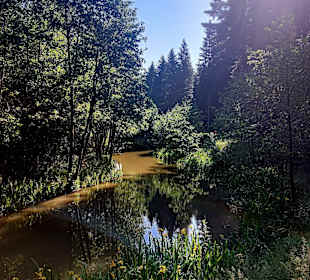 Wandern Hattigny