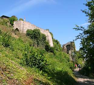 Burgruine Metternich