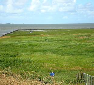 Landgewinnungszone im Wattenmee