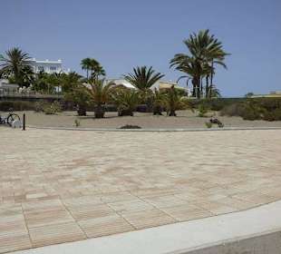 Aussichtspunkt an den Dünen