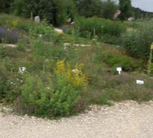 ALB-GOLD Naturgarten