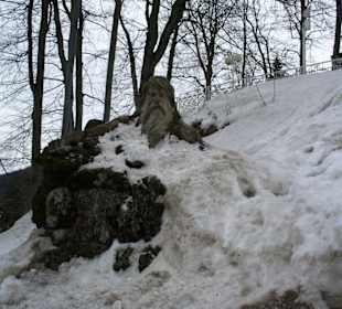 Černá hora - Janské Lázně