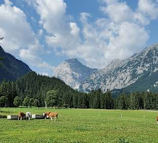 Wandern Reith im Alpbachtal