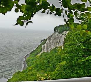 Blick vom Königsstuhl bei schlechtem Wetter