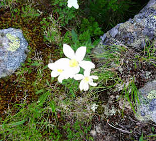 Wandern Eberstein