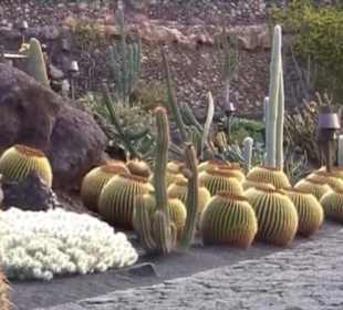 Jardín de Cactus