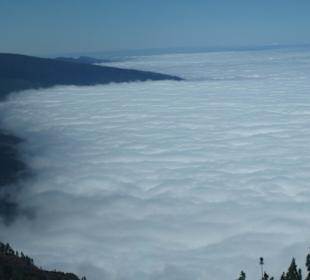 Am Weg zum Vulkan 2000 Meter über Teneriffa