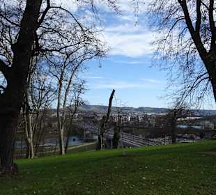 Rosensteinpark Übergang zu Schlossgarten