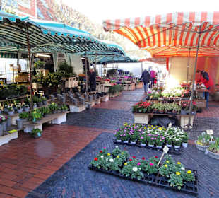 Rundgang über den Emder Wochenmarkt