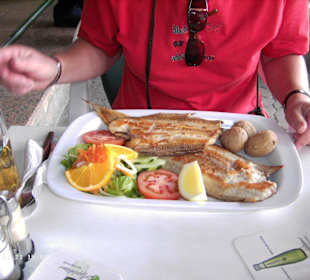 Seezunge das der teller kaum reicht