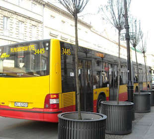 Nowy Świat i autobus 175