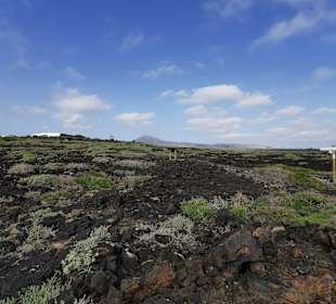  Jameos del Agua