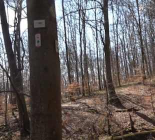 Geologischer Lehrpfad Kirnbachtal