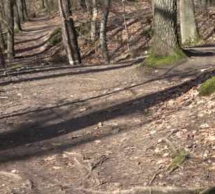 Hirschauer Spitzbergwegle (Premiumspazierwanderweg