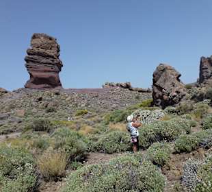 Nationalpark --> Teide