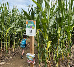Monster-Maisfeldlabyrinth Alsdorf