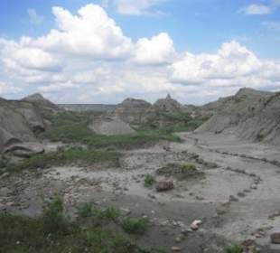 Erosionslandschaft im Dinosaur Provincial Park