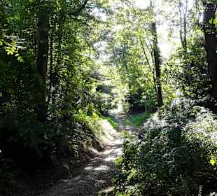 Herbstspaziergang durch Knoops Park