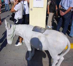 11.Tag Santorin Eselstation