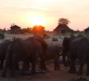 Elephant Sands (Unsere Lodge bei Nata)