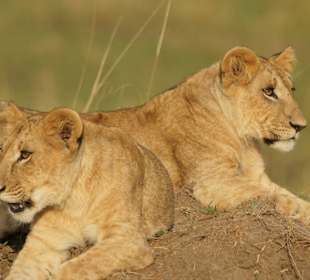 Sonne tanken ist angesagt