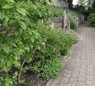 Benediktinerkloster Lorch