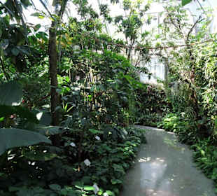 Im Tropenhaus von Schloss Trauttmansdorff