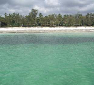 Ausflug Glasbodenboot Diani Beach