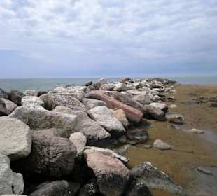 Strand Bibione 06_2011