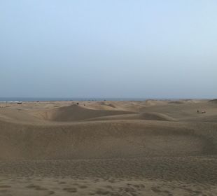 Dünen von Maspalomas