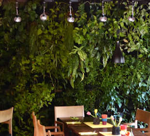 Lebende Wand in einem Teil des Restaurants
