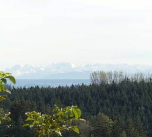 Tolle Aussicht von der Terrasse