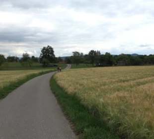 Wanderweg - Alter Steinbruch Pfaffenberg Runde