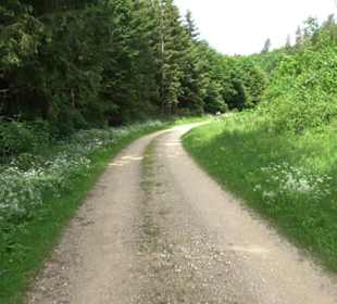 Premiumwanderweg "hochgehackert"