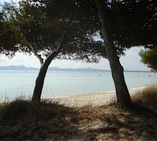 Der schönste Strandabschnitt Mallorcas
