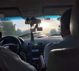 Domingo und Fahrer im Auto